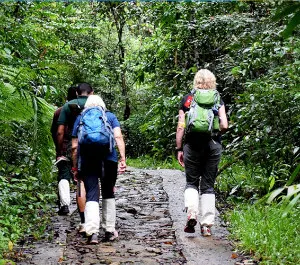 Sinharaja Trekking - Sri Lanka
