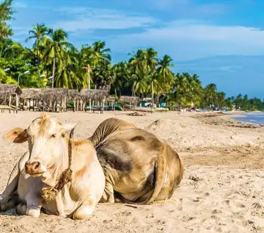 Uppuveli Beach - Sri Lanka