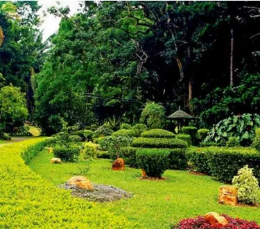 Henarathgoda Botanical Garden - Sri Lanka