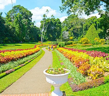 Royal Botanical Gardens, Peradeniya - Kandy - Sri Lanka