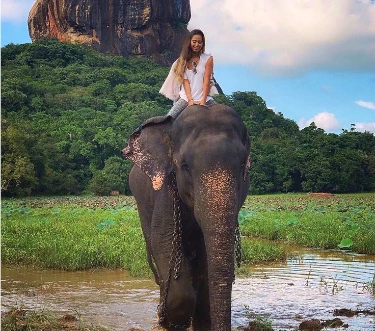 Elephant Ride - Sri Lanka