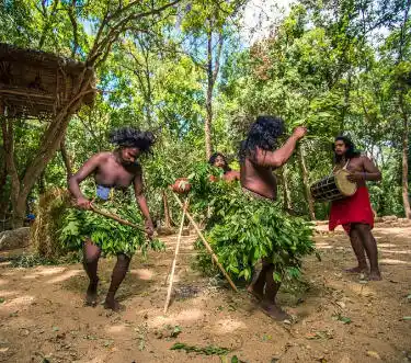 Dabana Indigenous Village - Sri Lanka