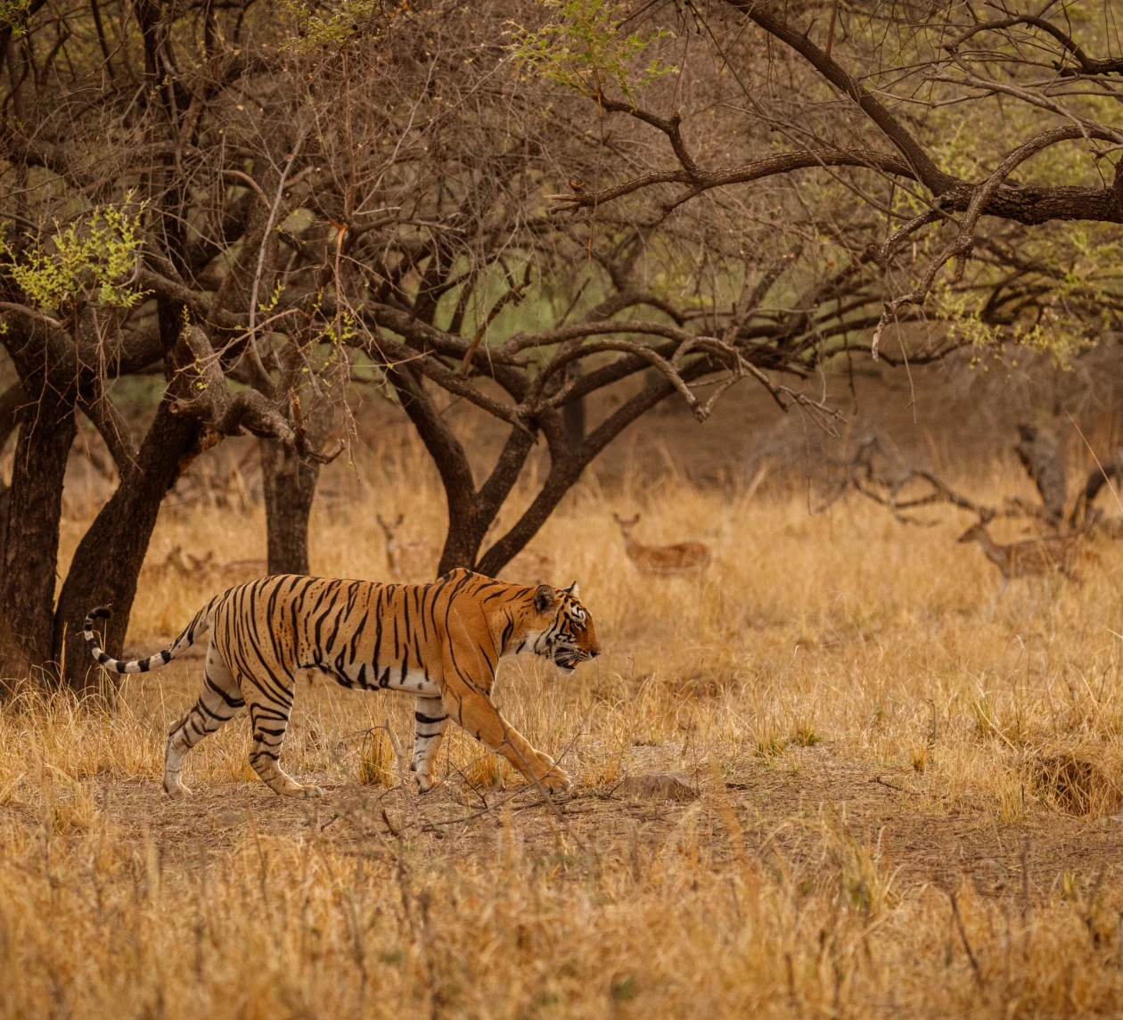10-Day Nature, Safari & Scenic Discovery