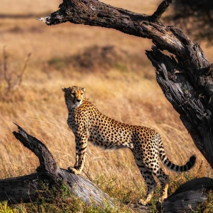 07 Days Sri Lanka Discovery Tour