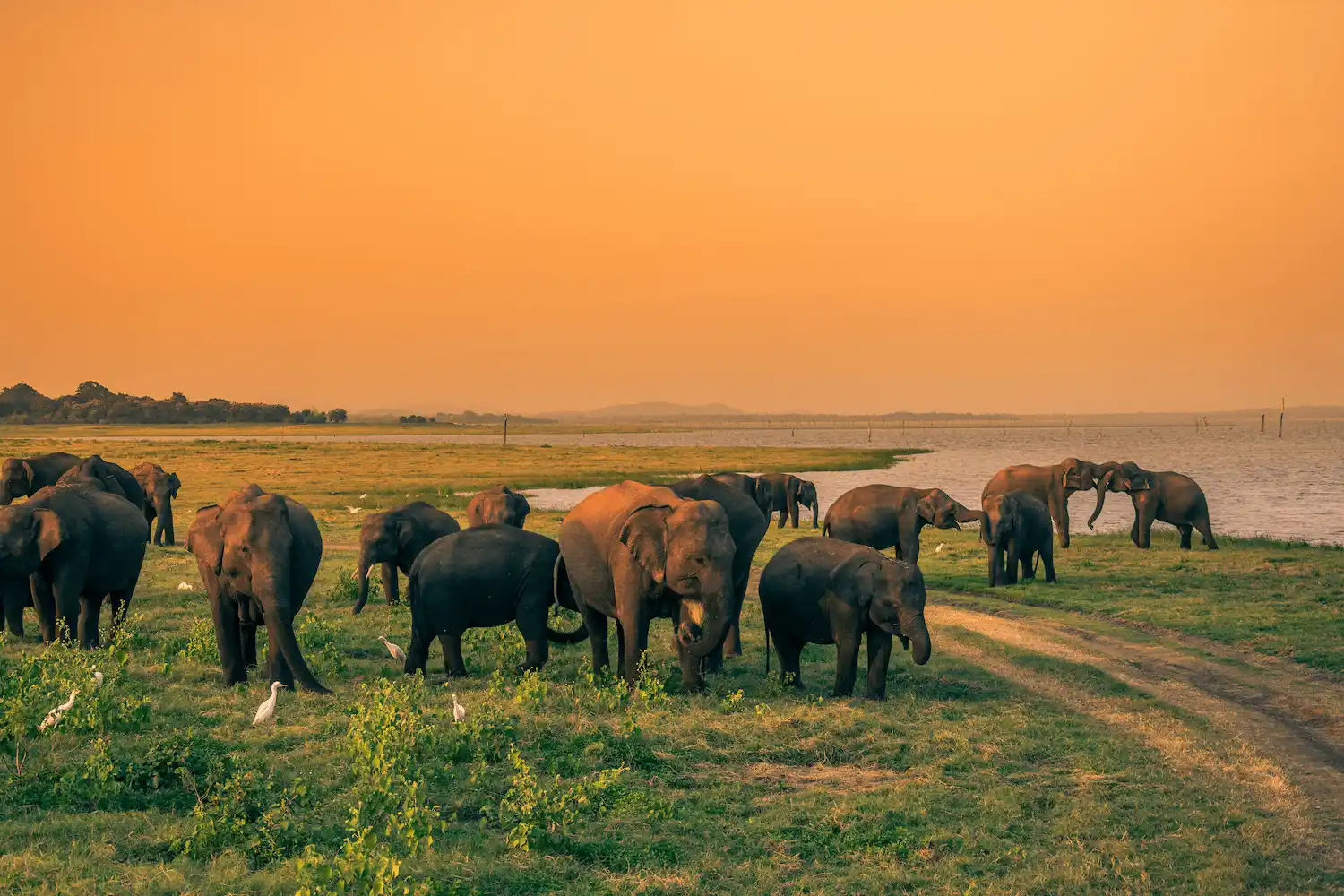 Diverse habitats Kaudulla