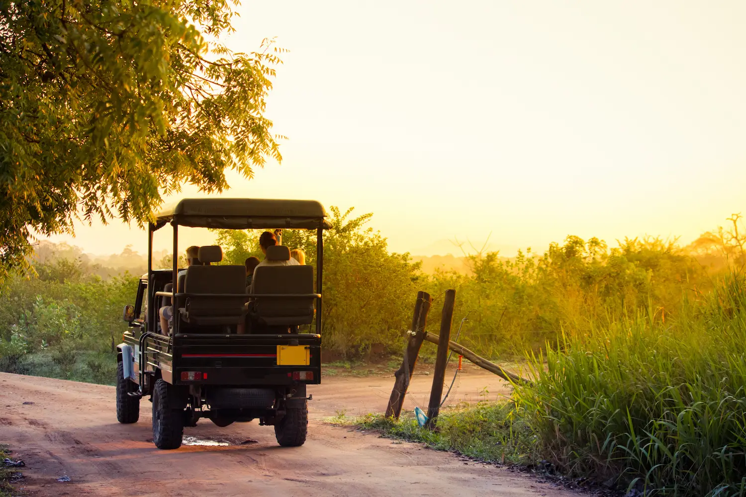Complimentary hotel pickup and drop-off near Minneriya National Park