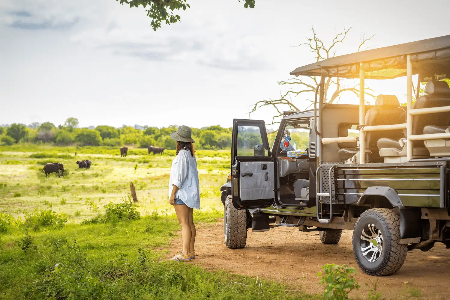 Private jeep safari