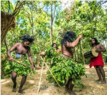 Sri Lanka Indigenous Roots 