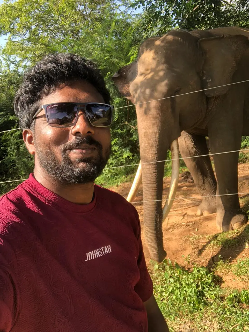 Wild animals in their natural habitat in Sri Lanka