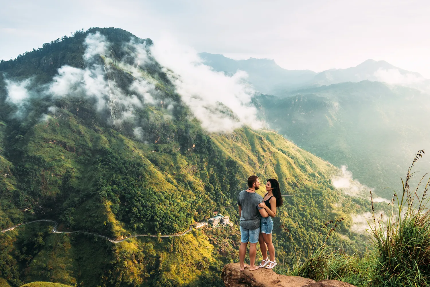 Lush tea plantations in Sri Lanka's hill country