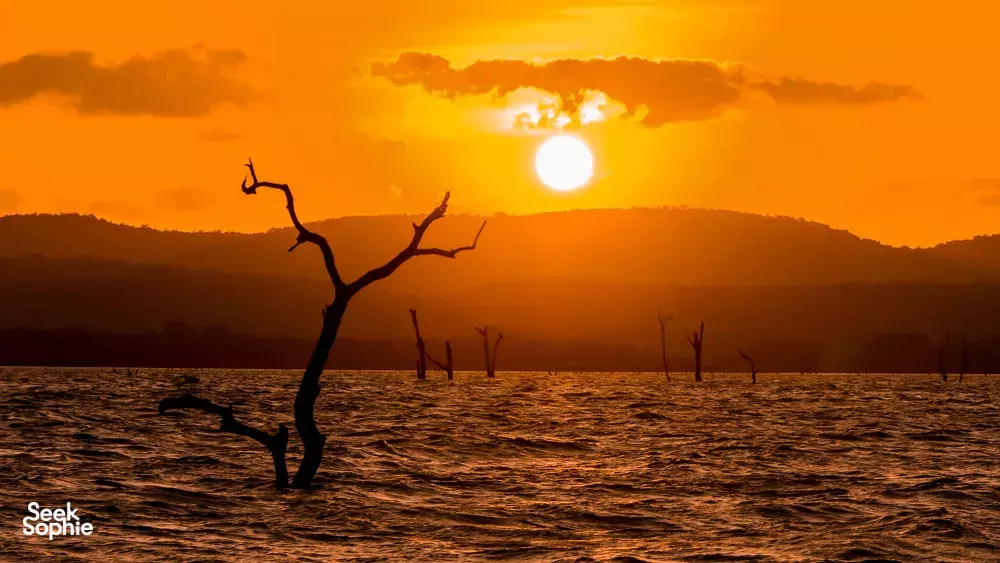 Morning safari at Kaudulla
