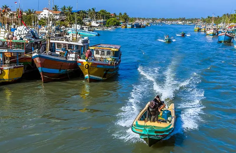 Negombo lagoon boat tour through mangroves