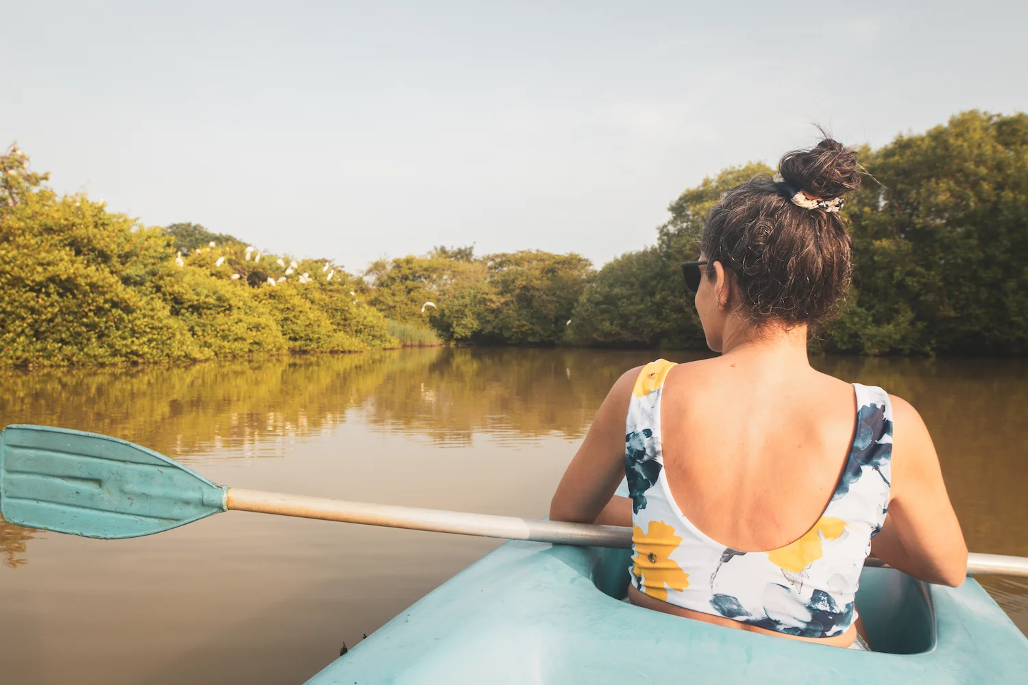 Madu River mangrove boat safari near Bentota