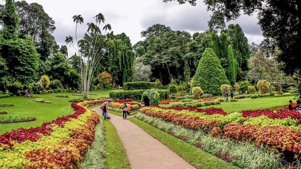 Royal Botanical Gardens, Peradeniya