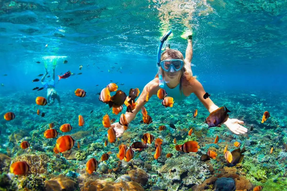 Snorkeling over coral reef, Mirissa