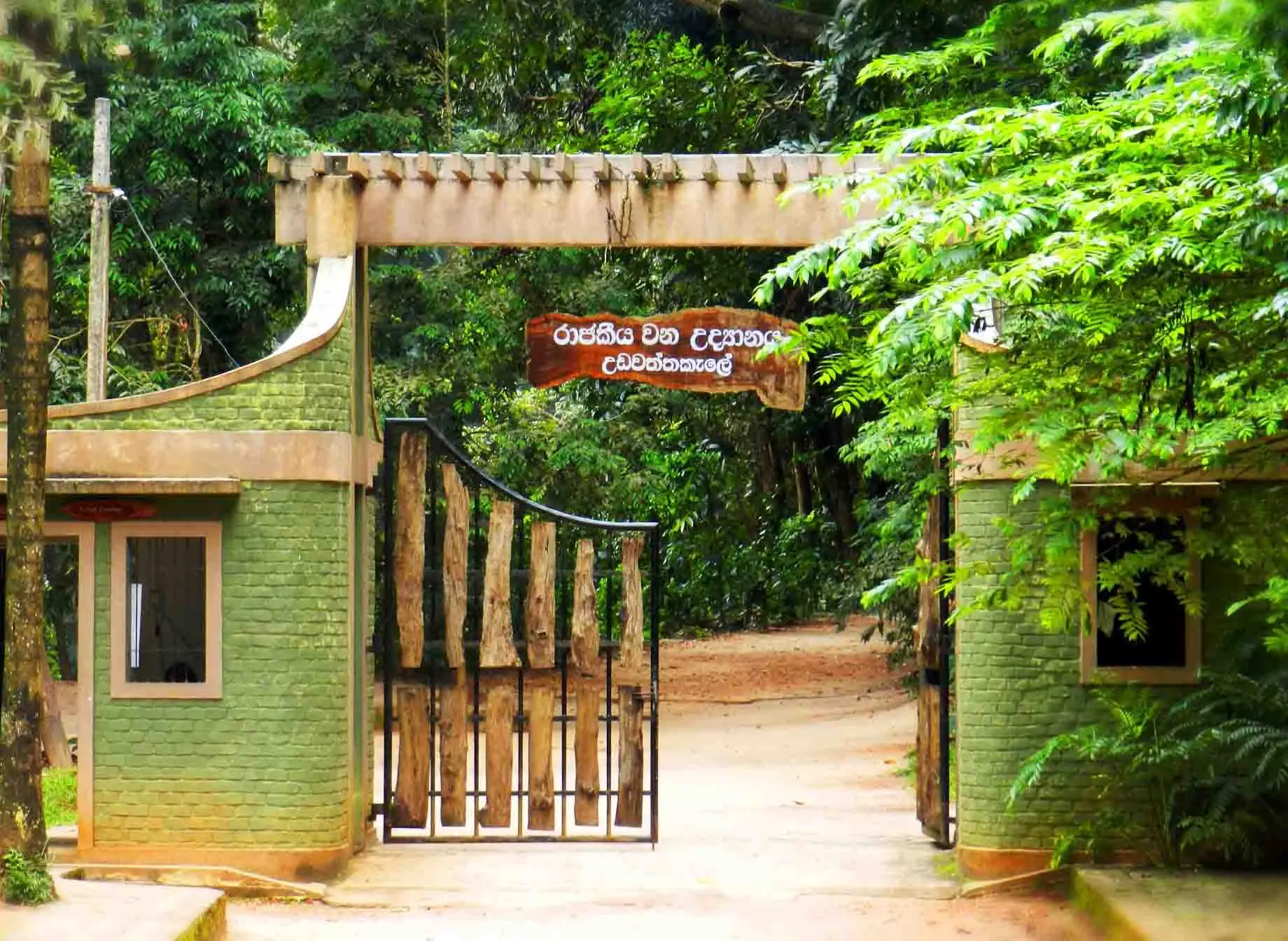 Udawatte Kale Forest walk in Kandy Sri Lanka