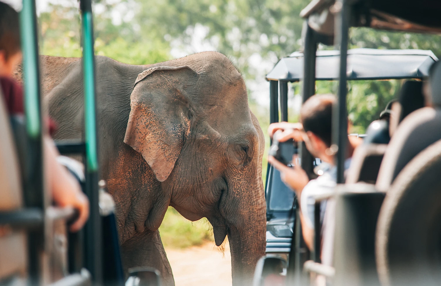 Safari jeep at Udawalawe