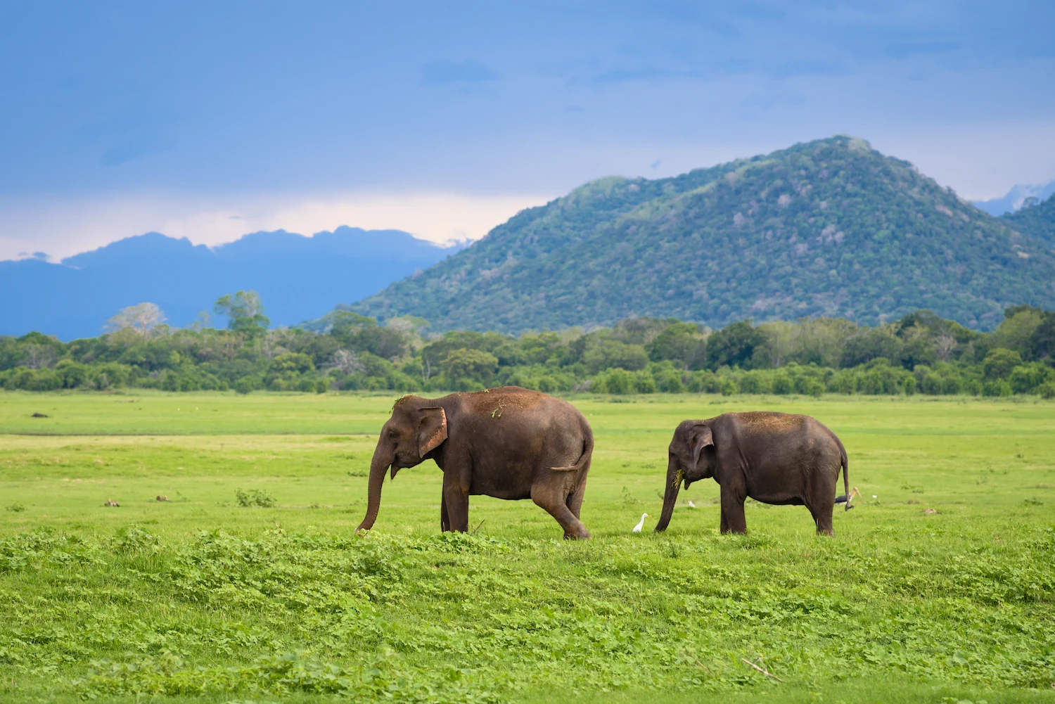 Wilpattu National Park natural lake with fewer crowds