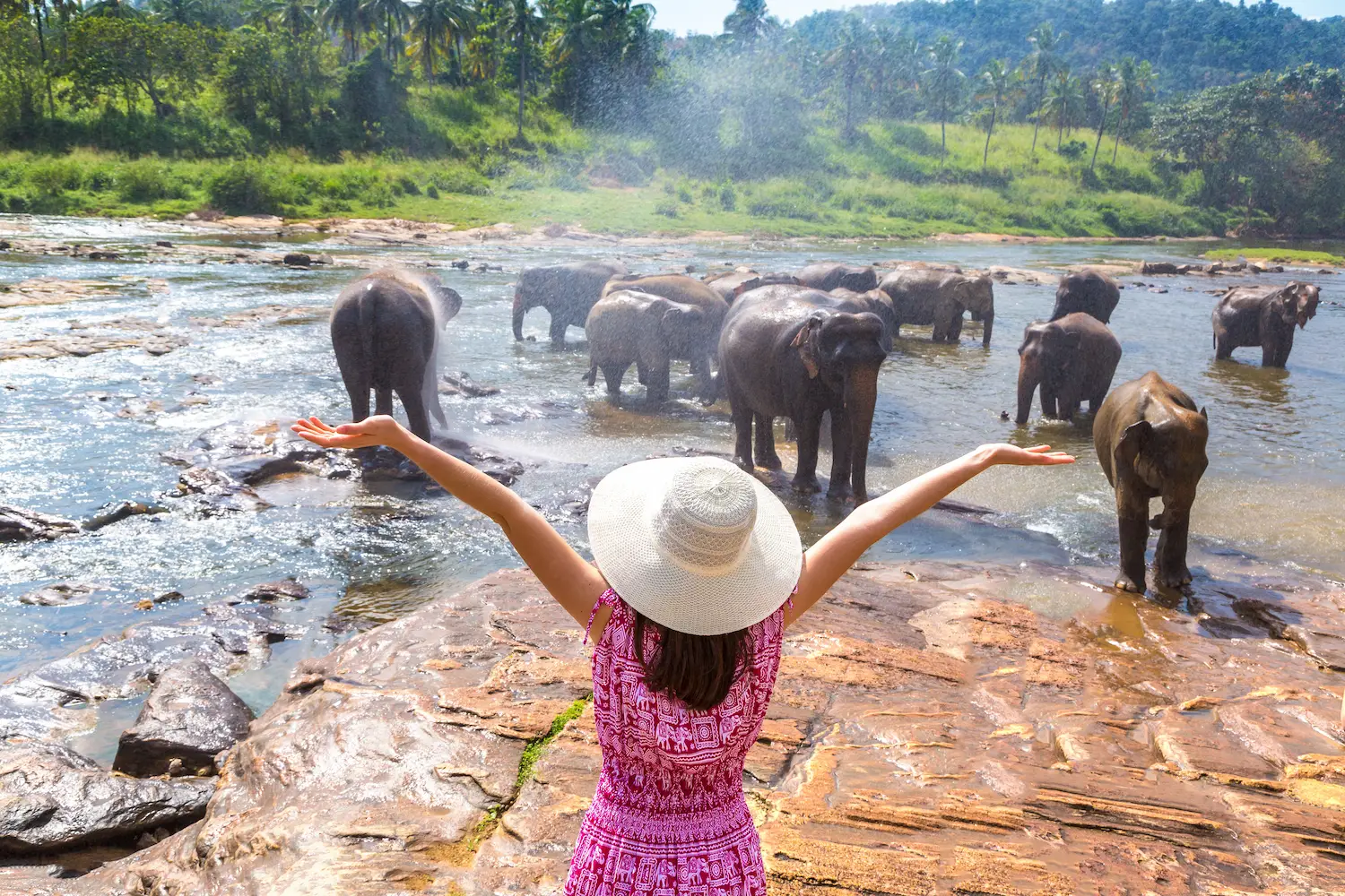 Sri Lanka Highlights Tour