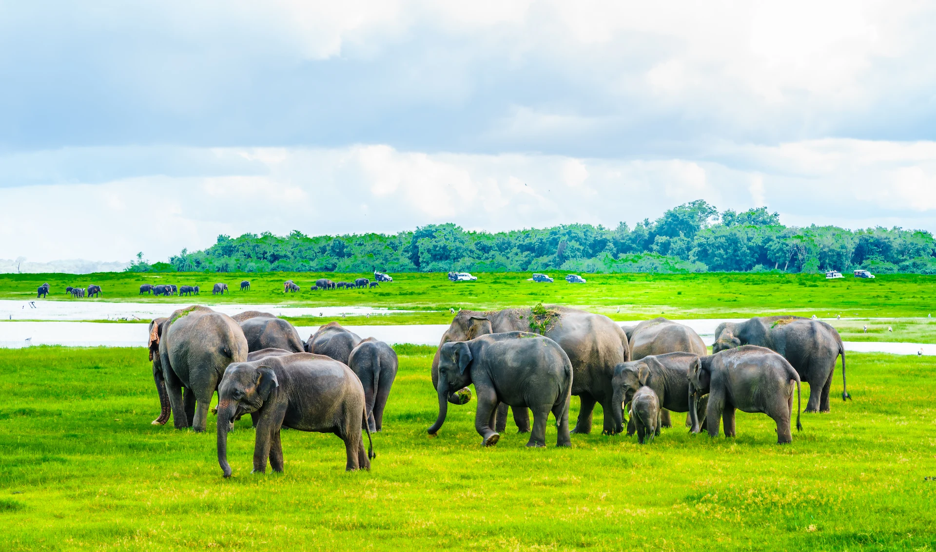Ethical elephant interaction experience in Sri Lanka