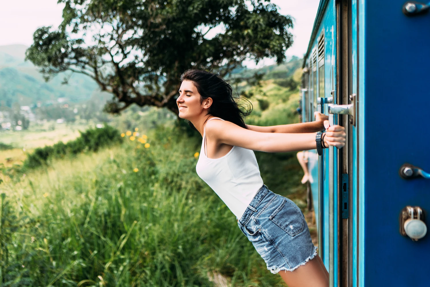 Scenic train ride through Ella's tea country Sri Lanka