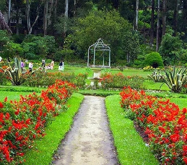 Nuwara Eliya Victoria Park Sri Lanka