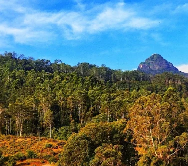 Nallathanniya View