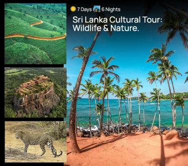 7-Day Sri Lanka Cultural Tour