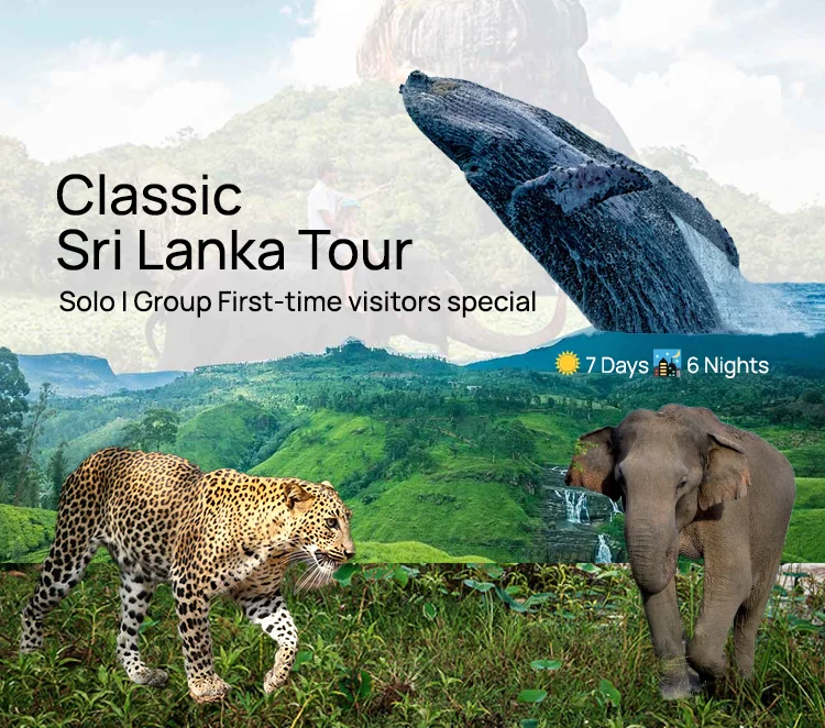 7-Day Classic Sri Lanka Tour