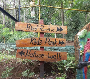 Hantana Bird Park Activities