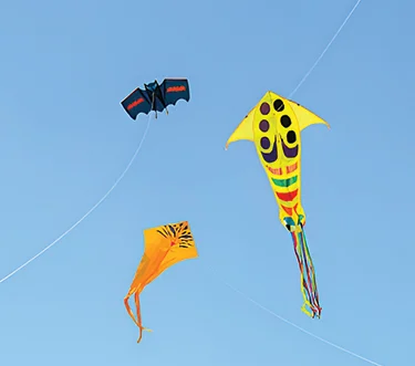 Kite Flying in Galle Face