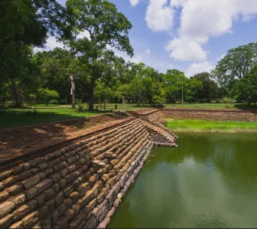 Elephant Pond 