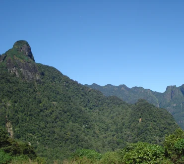 Knuckles Range
