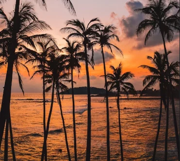 Discover Coastal and Scenic Wonders