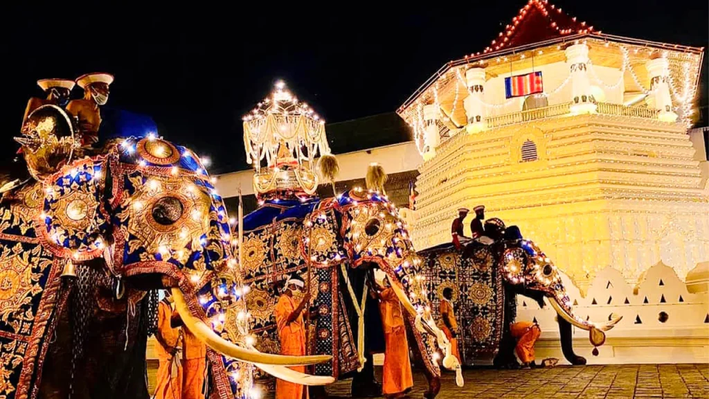 Kandy Esala Perahera 2025 Guide: Dates, Highlights & Travel Tips 1 kandy esala perahera