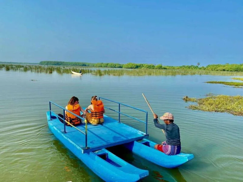Top Things to Do in Arugam Bay – Surfing, Nightlife & Hidden Beaches 5 Lagoon Safari
